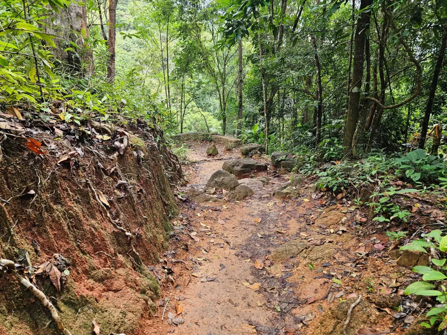 Road to Namuang Waterfall 2