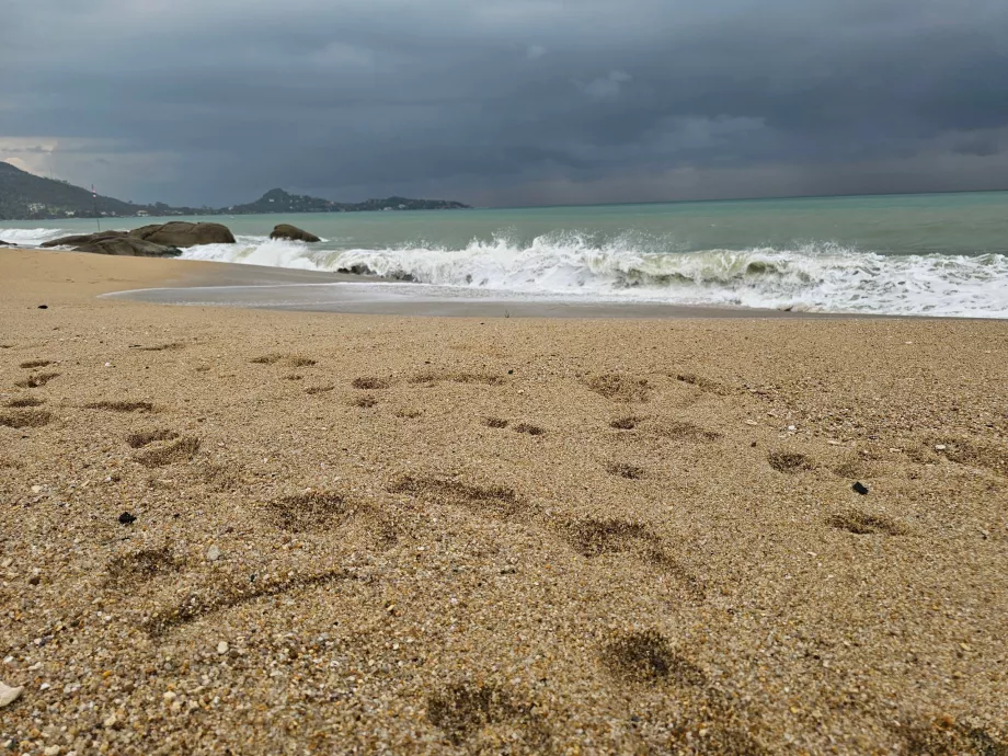 Coarser sand on the southern part of Lamai Beach