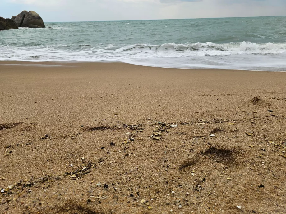 Coral Cove Beach, sand quality