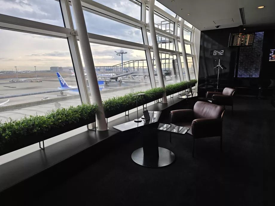 View of the airfield