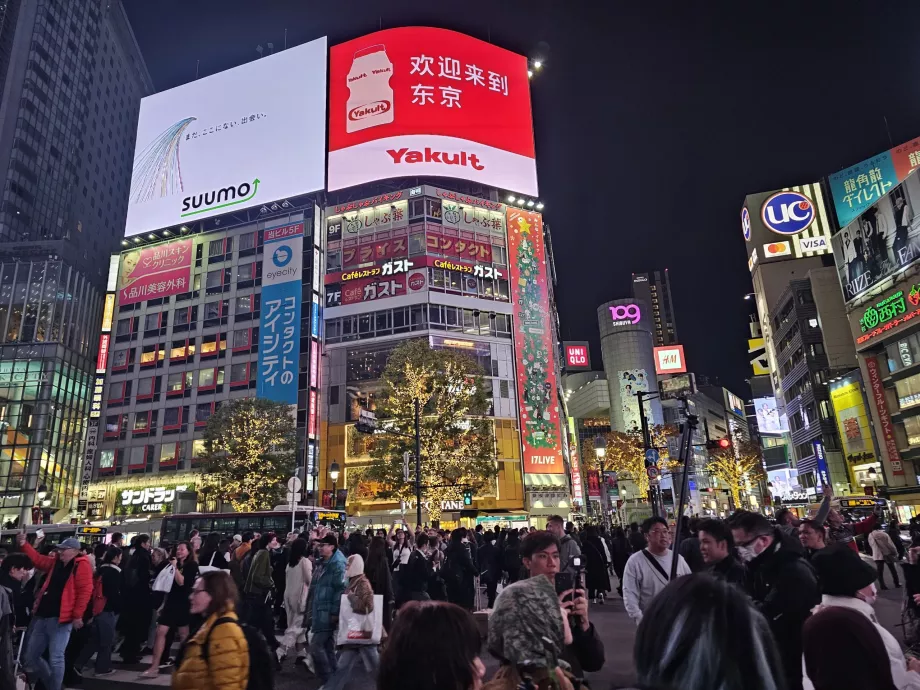 Shibuya Junction at night