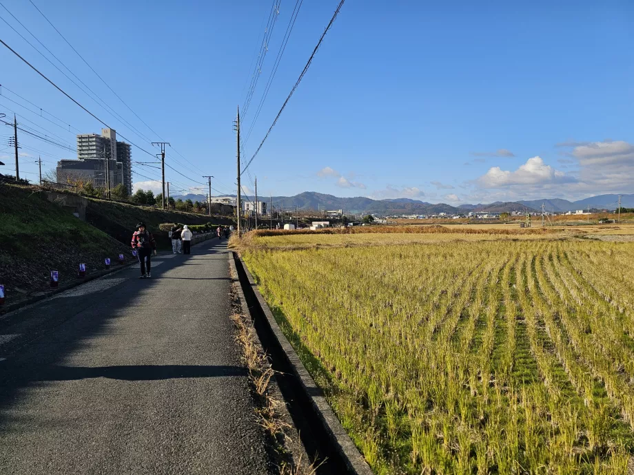 Walk from the station to the boat