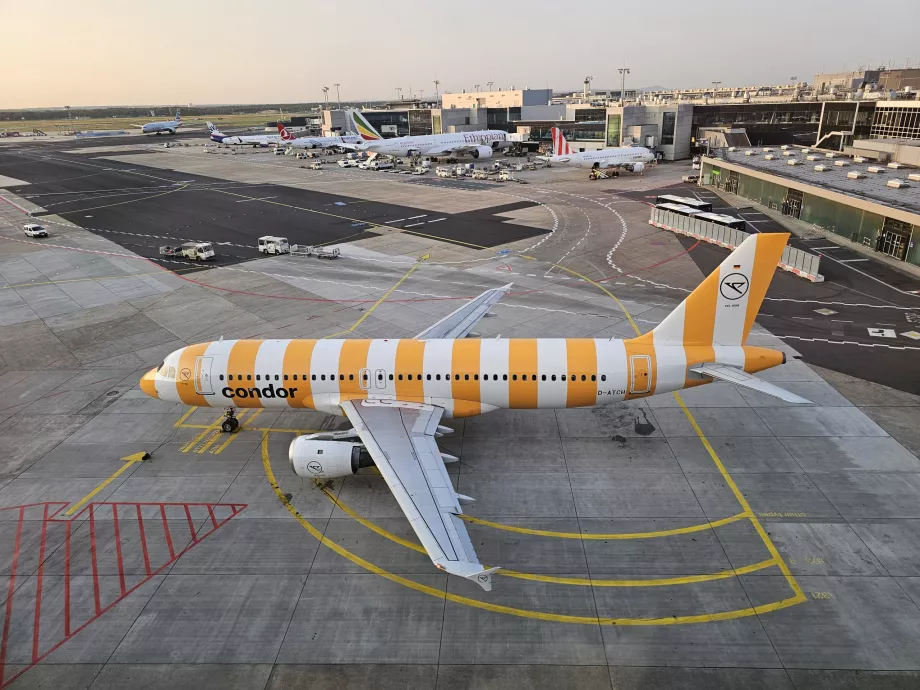 A yellow Airbus A320 at Frankfurt Airport