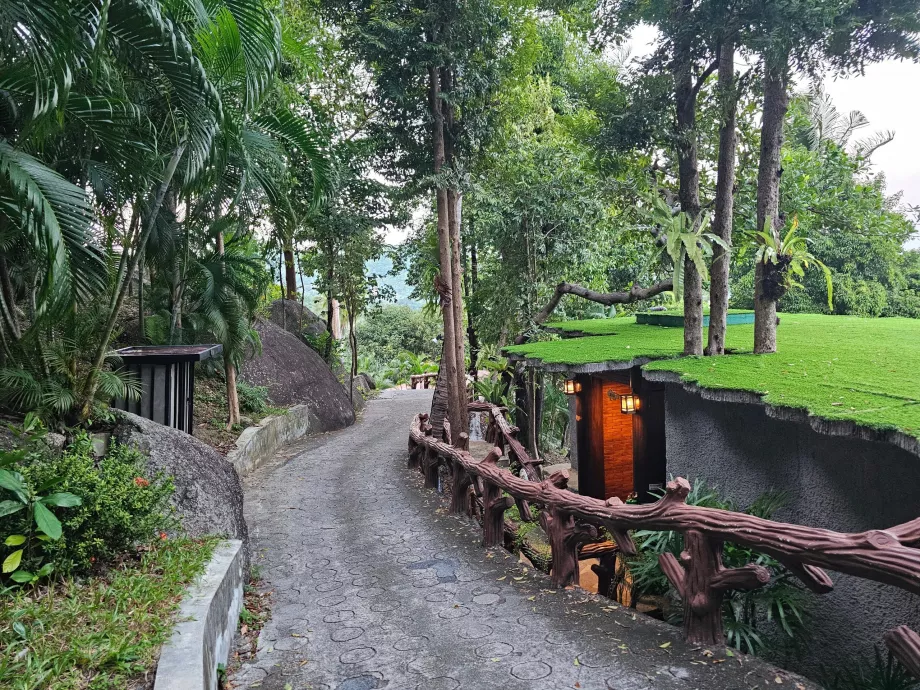 Paths through the resort area