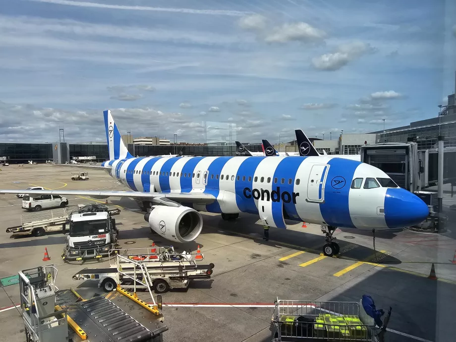 Blue Airbus A320 Condor