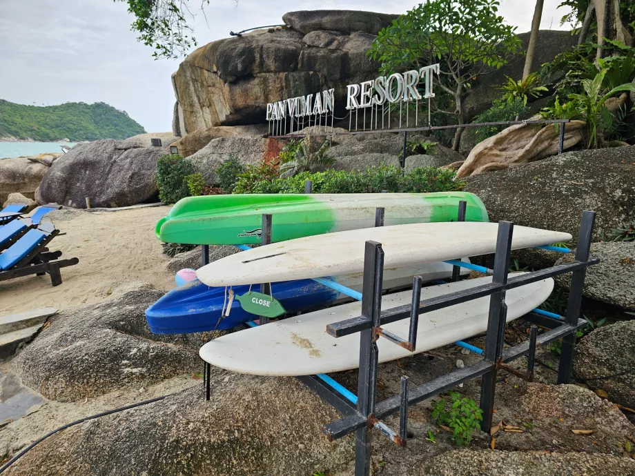 Kayak rental