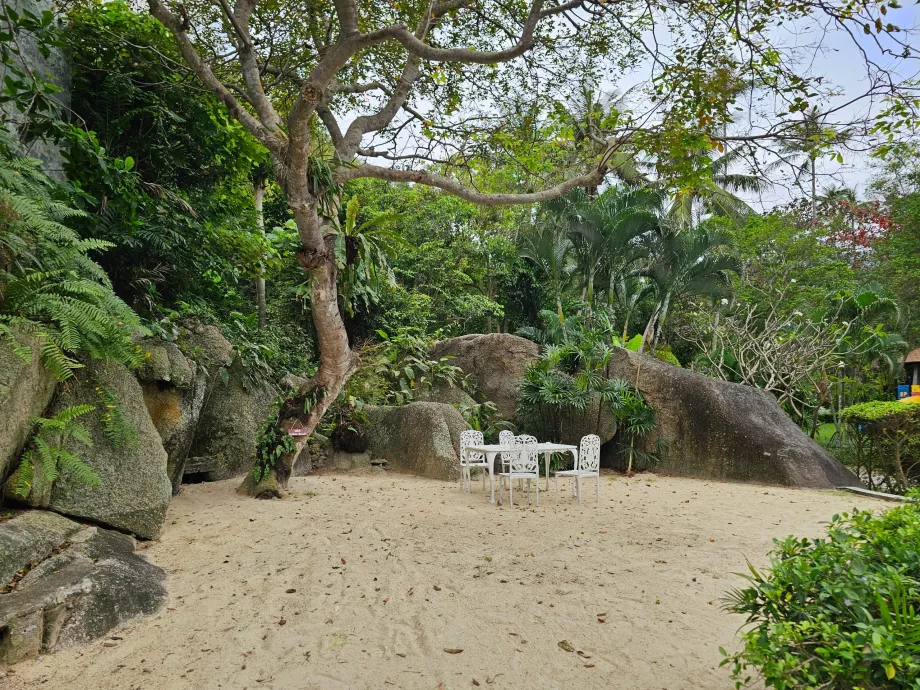 Sitting in the garden