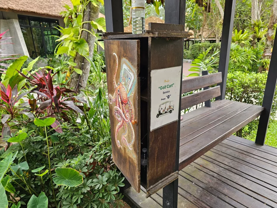 Phone to call the golf cart