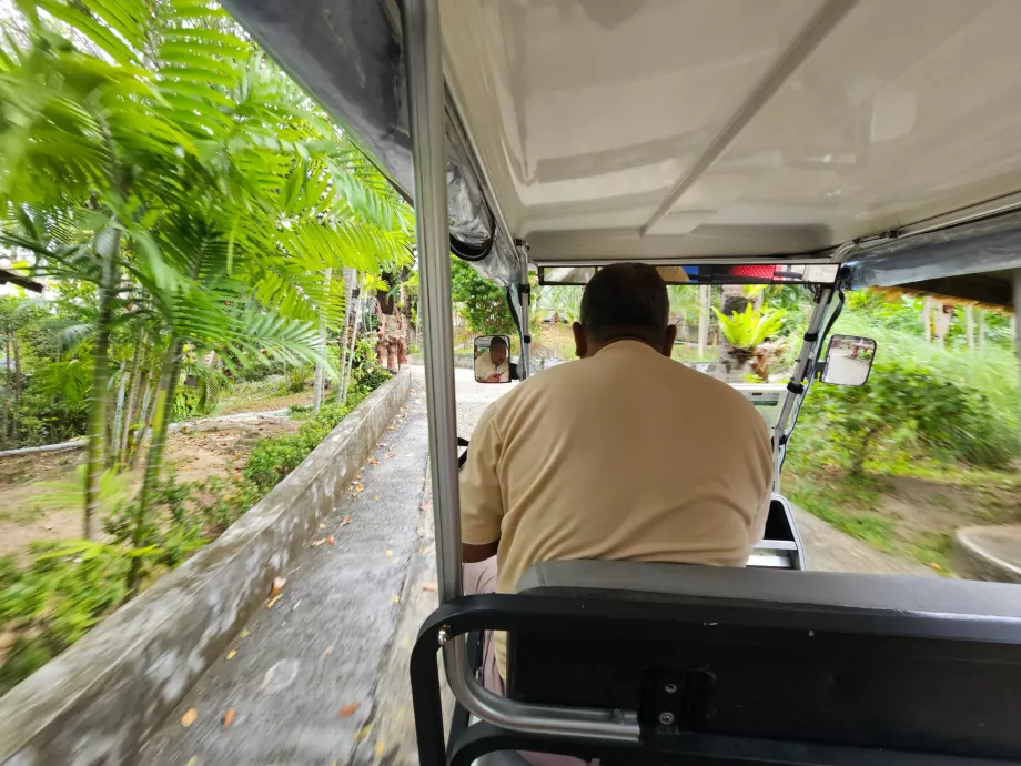 Golf cart ride