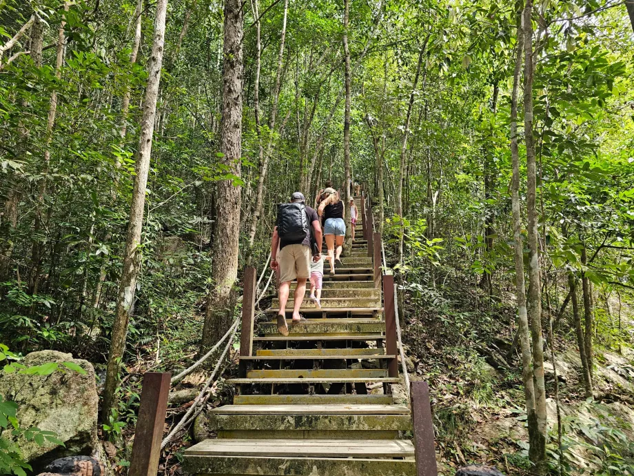 The road to the waterfalls