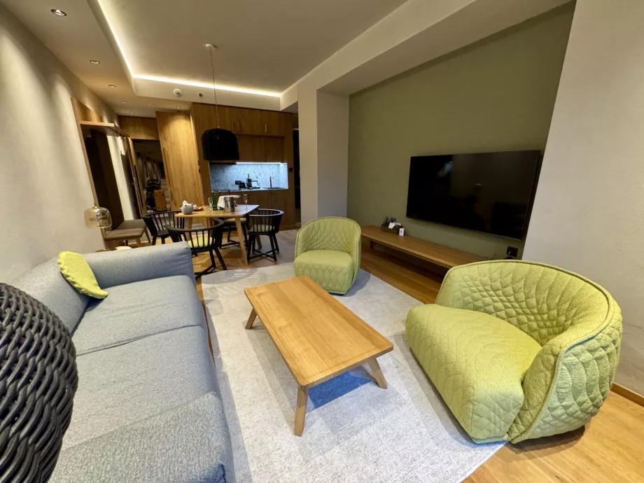 Living room and kitchenette