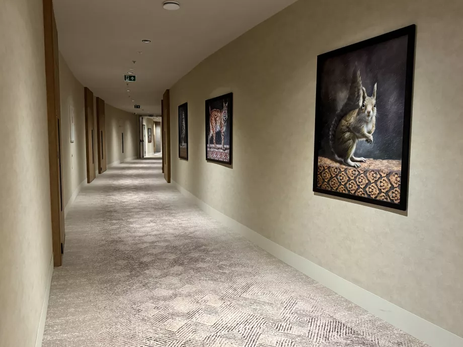 Corridor to the rooms
