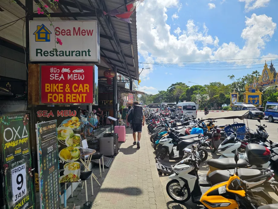 Scooter rental at Thong Sala Marina