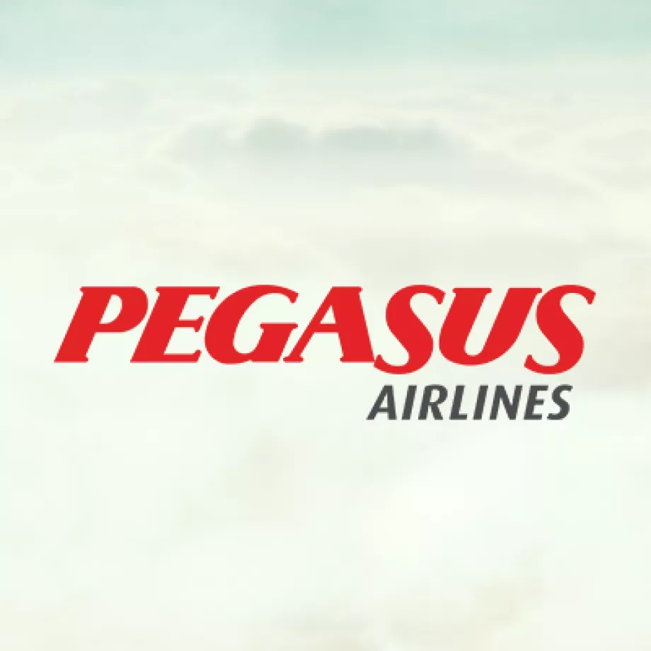 Pegasus Airlines flypgs.com logo