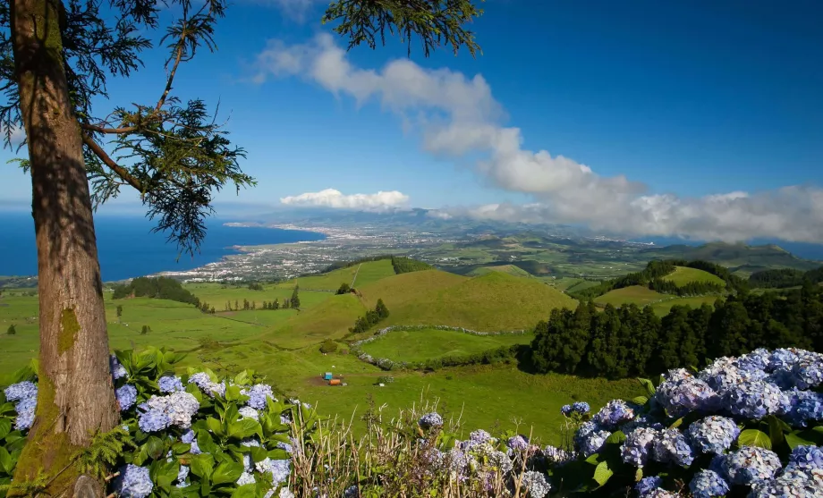 Terceira