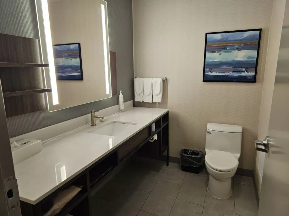Hilton Garden Inn, bathroom