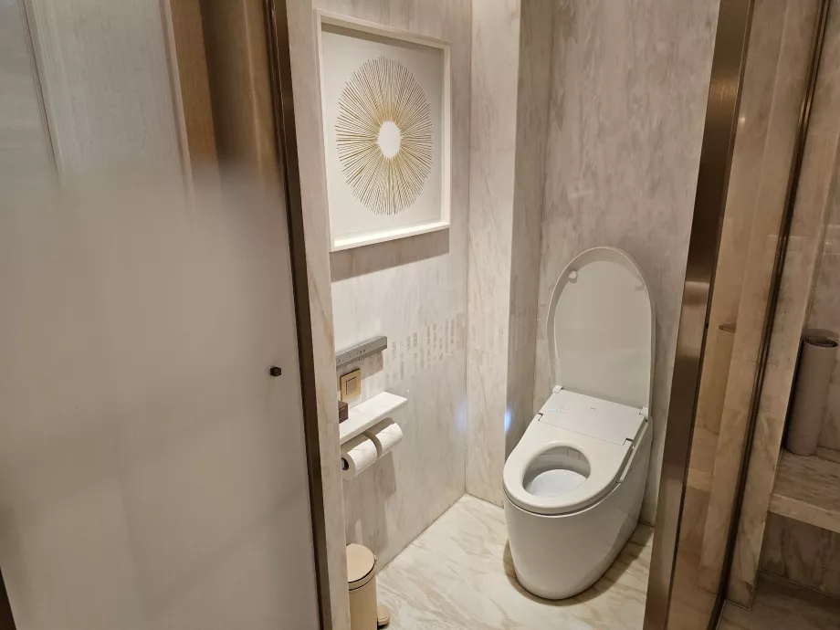 Toilet in the bathroom