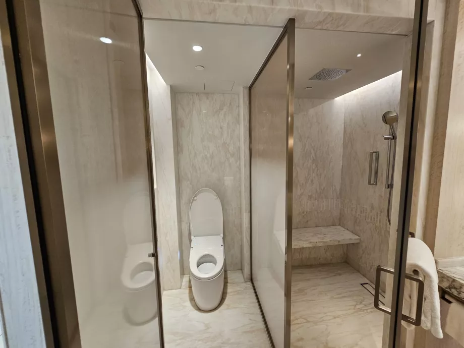 Shower and toilet - open door