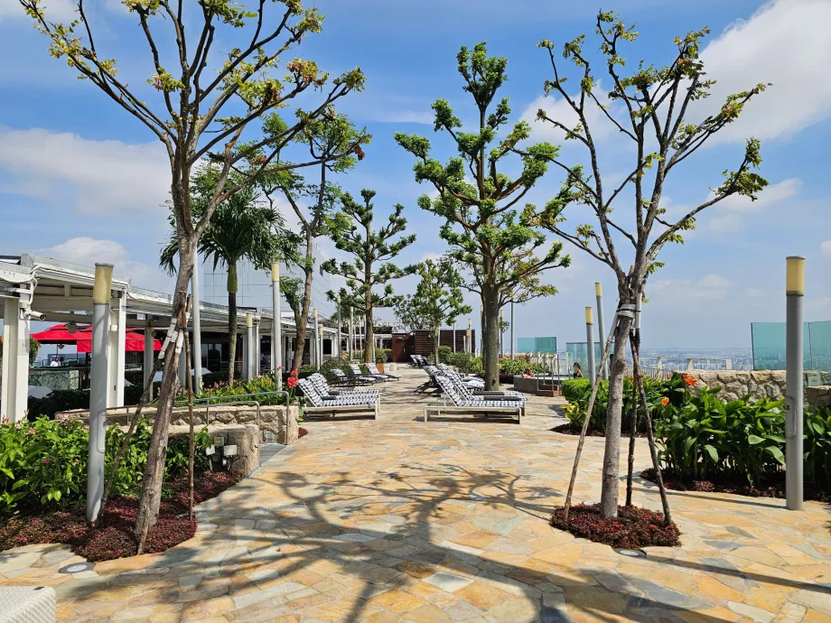 Sun loungers on the roof terrace of the MBS Hotel