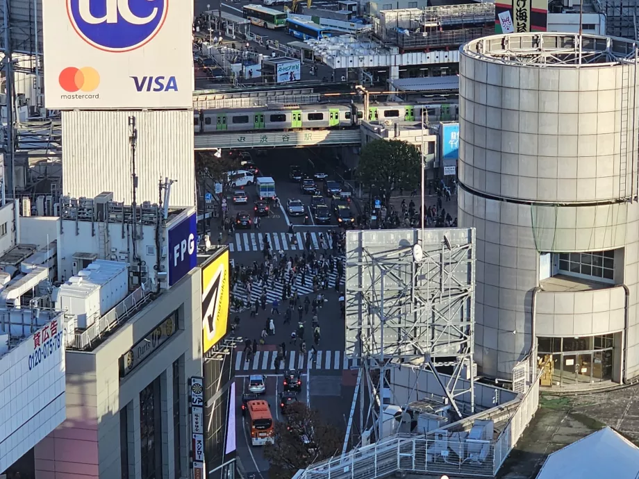 View of Shibuya Junction with zoom