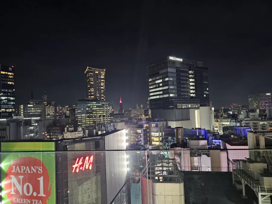 Outdoor terrace of the restaurant Gallery 11