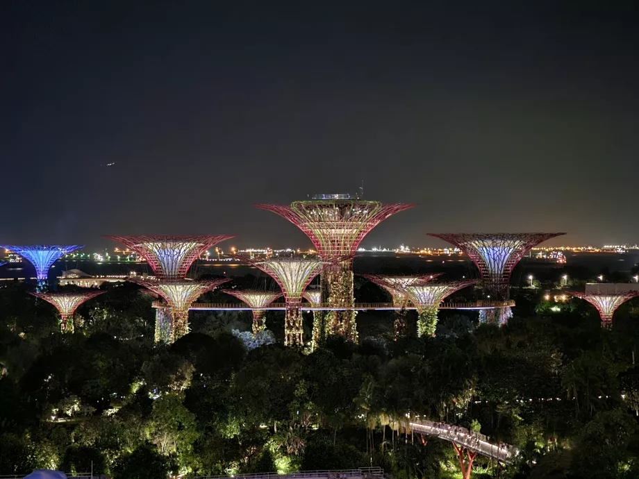 Night view from the room