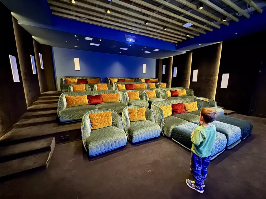 Swissotel Damian Jasna cinema