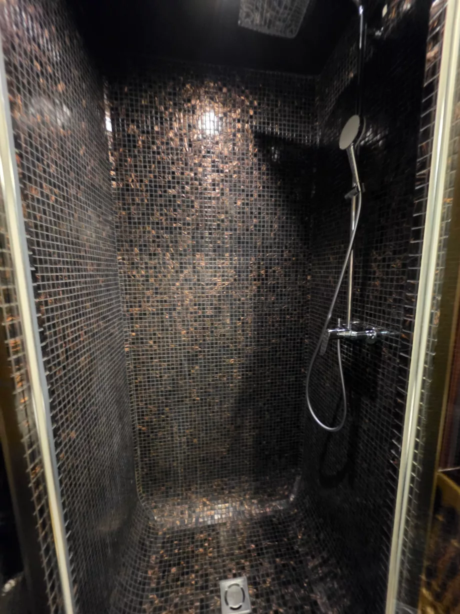 Shower cubicle in the adjoining bathroom
