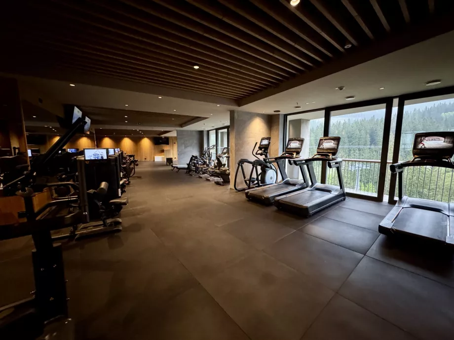 Fitness centre Swissotel Damian Jasna