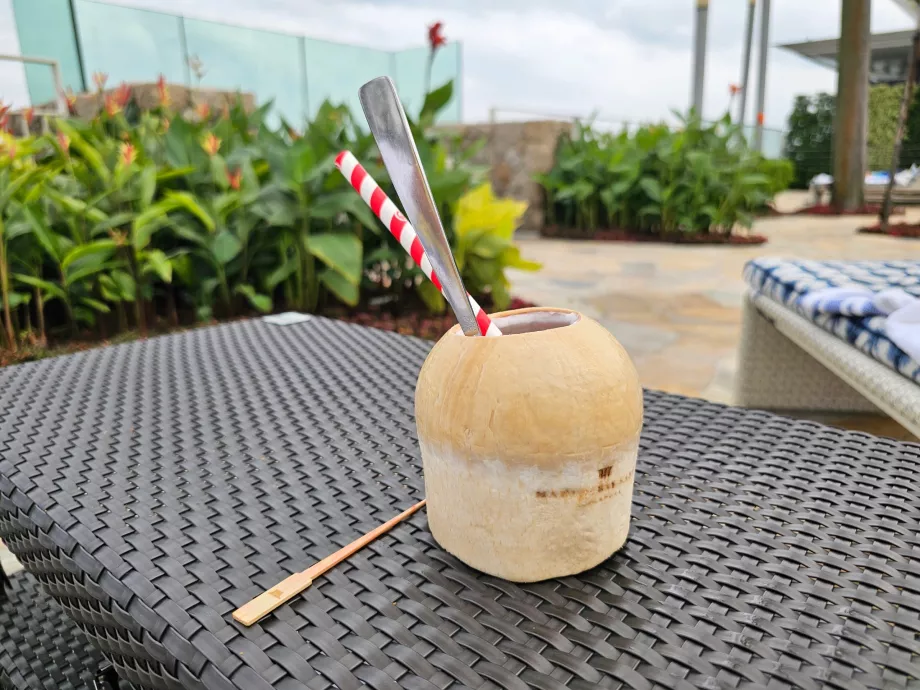 Coconut by the pool