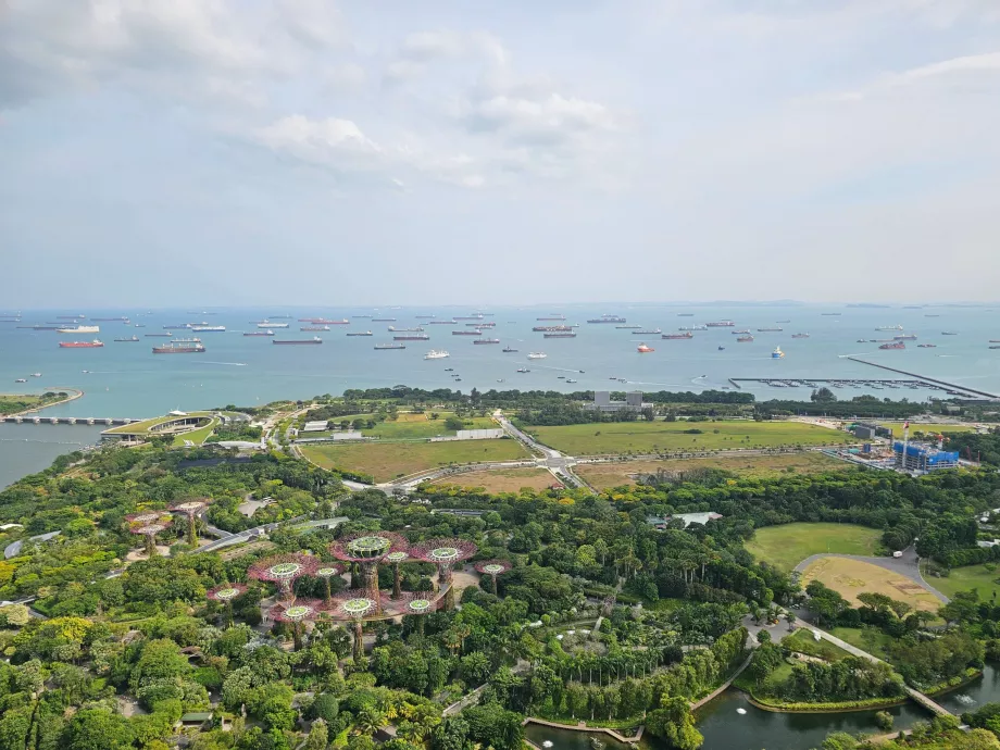View of Gardens by the Bay from the hotel rooftop