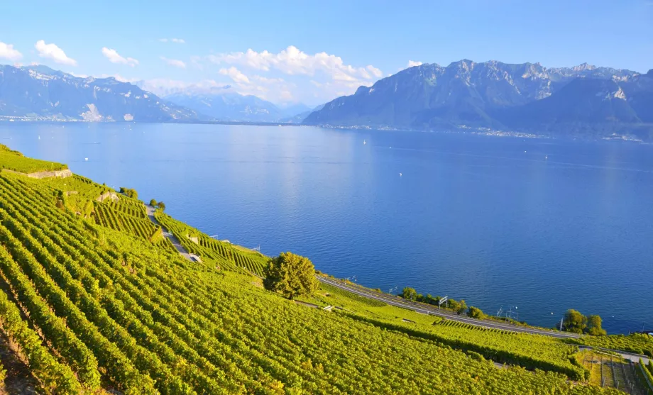 Lake Geneva