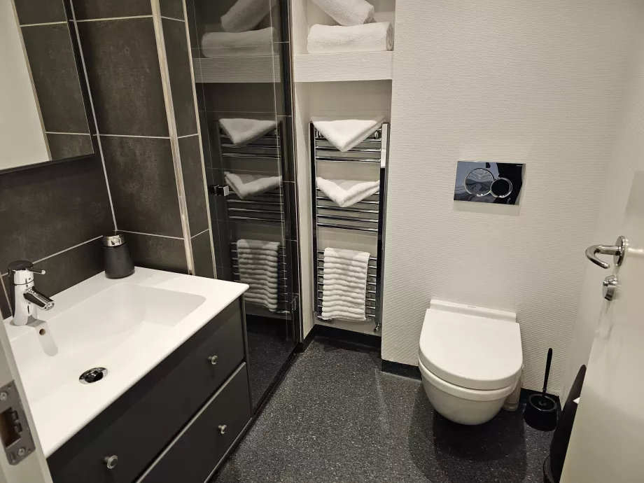 Bathroom, toilet
