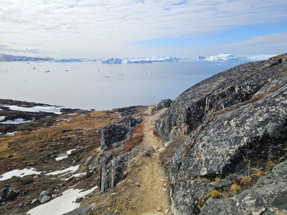 Hiking along the Icefiord
