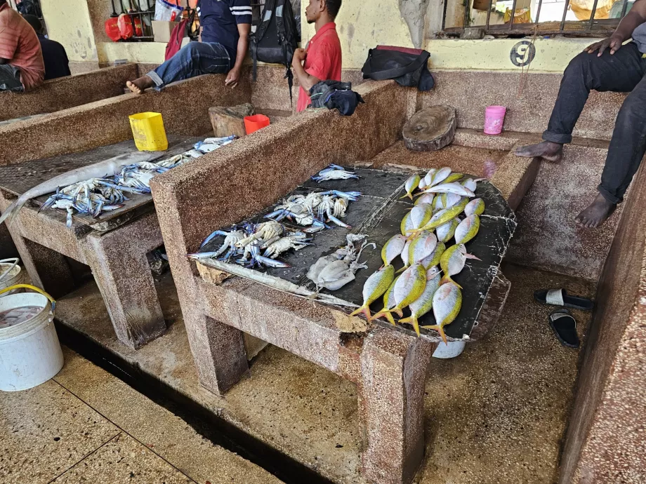 Fish market