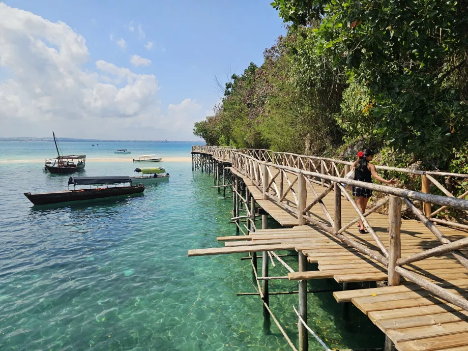 Prison Island, arrival