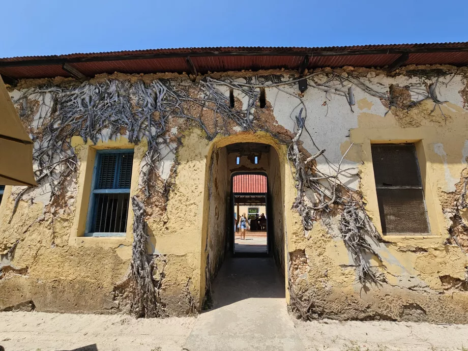 Prison Island, the prison building