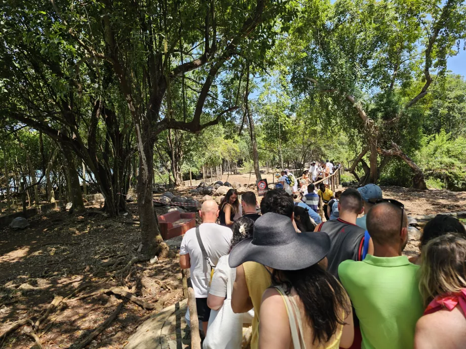 Prison Island, a path through the giant tortoise enclosure
