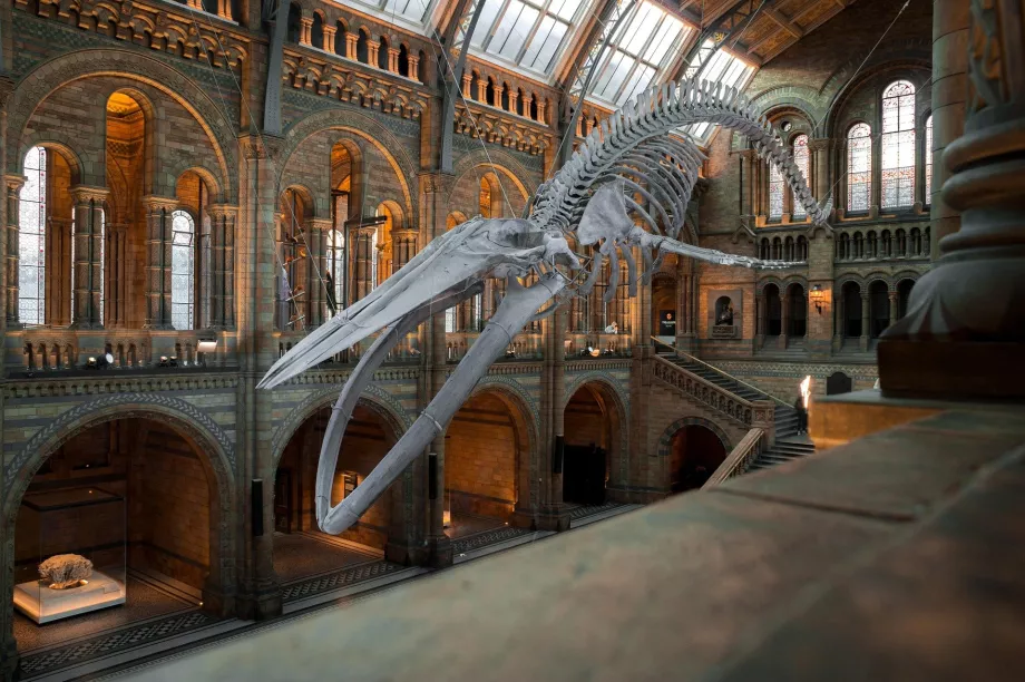 National museum of Nature