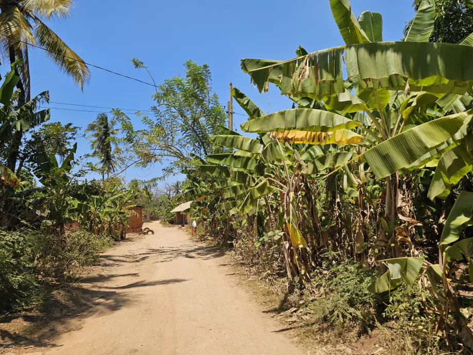 Side dirt road to Mtende beach
