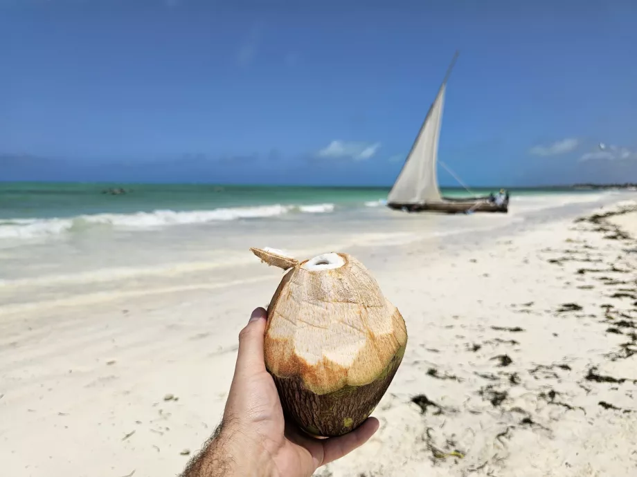 Coconut on the beach in Paje