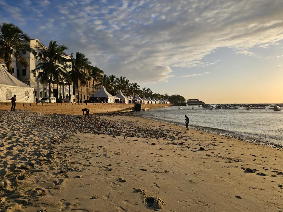Beach at Forodhani promenade