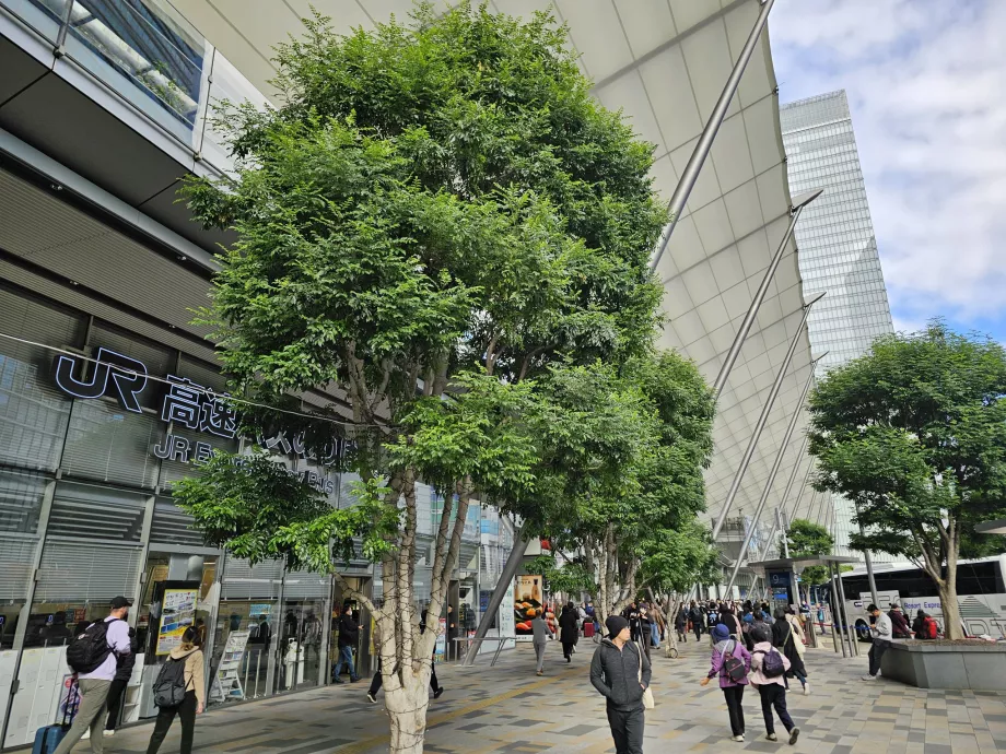 Tokyo Central Bus Station