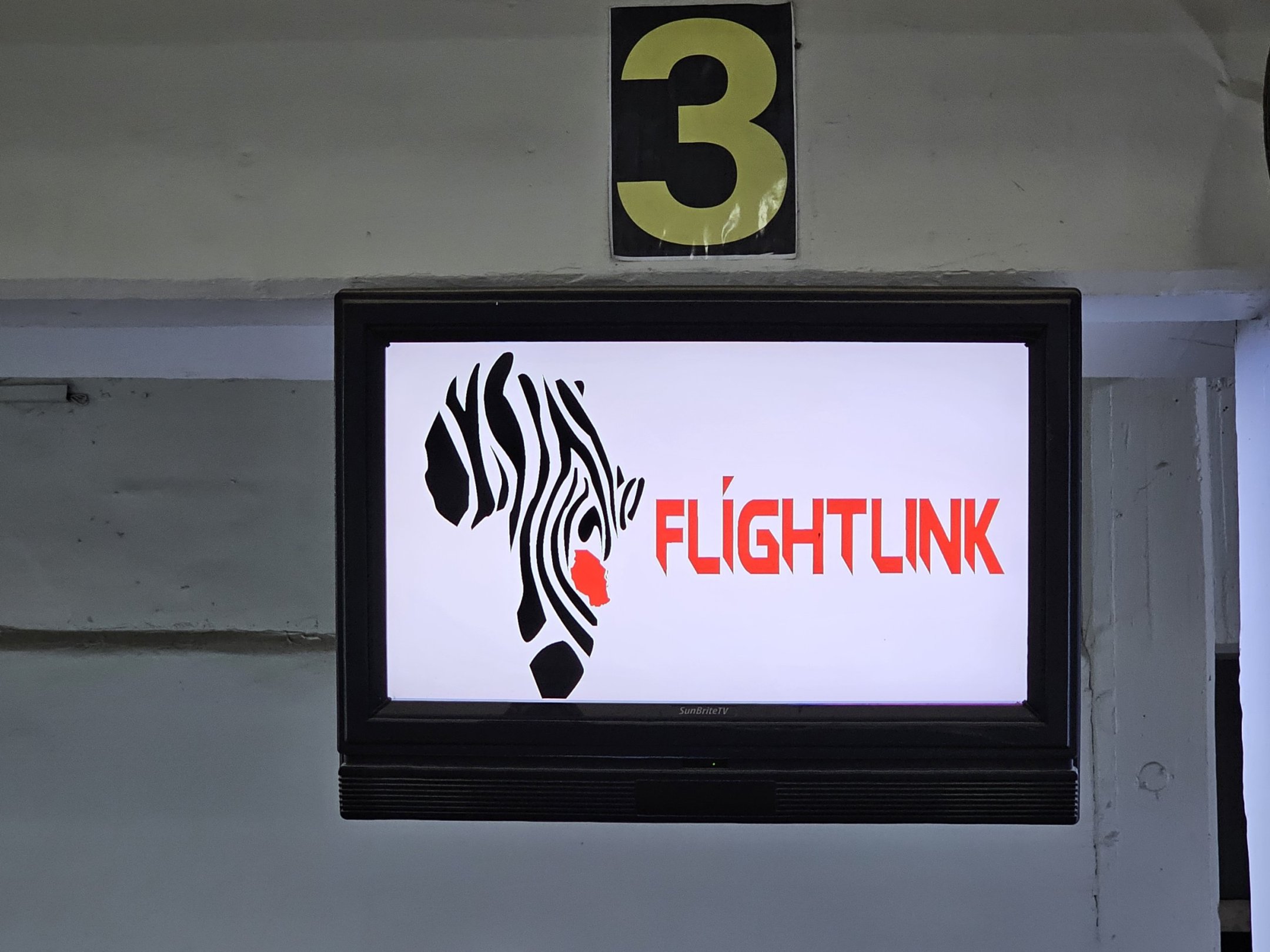 Flightlink check-in for free - when and how to