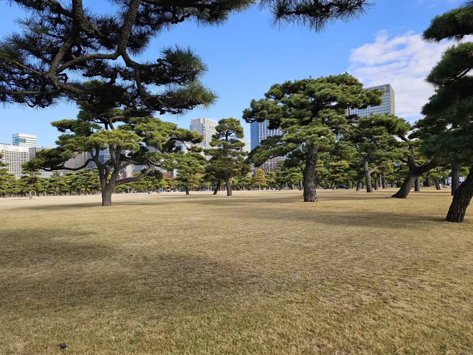 Kokyo Gaien National Garden