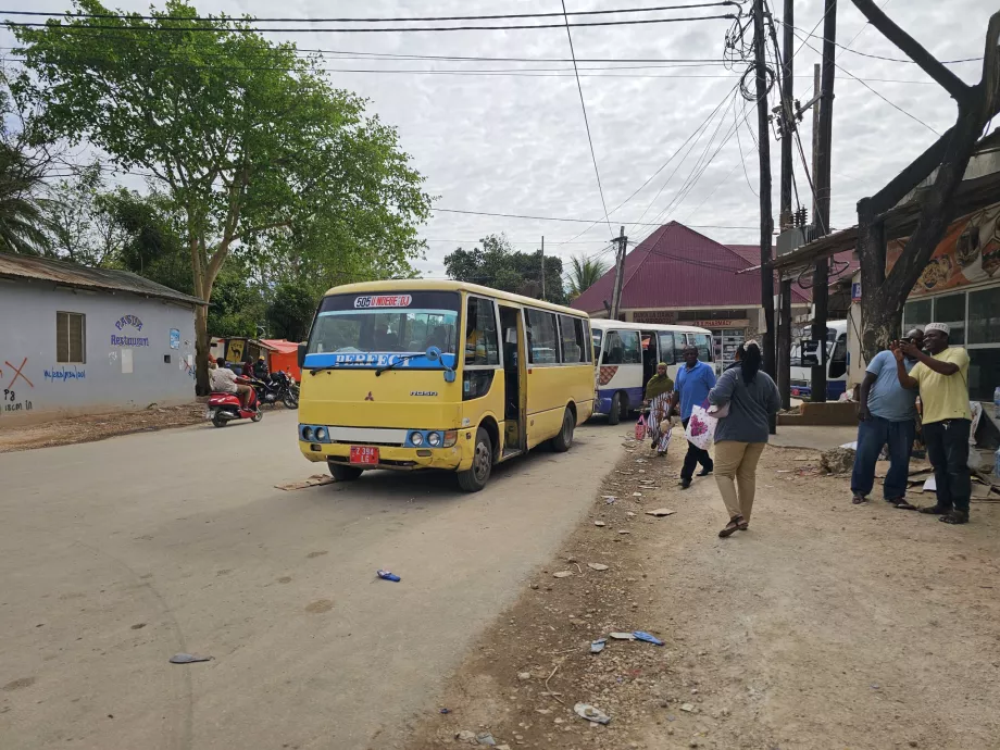 The habitat she gave at the airport