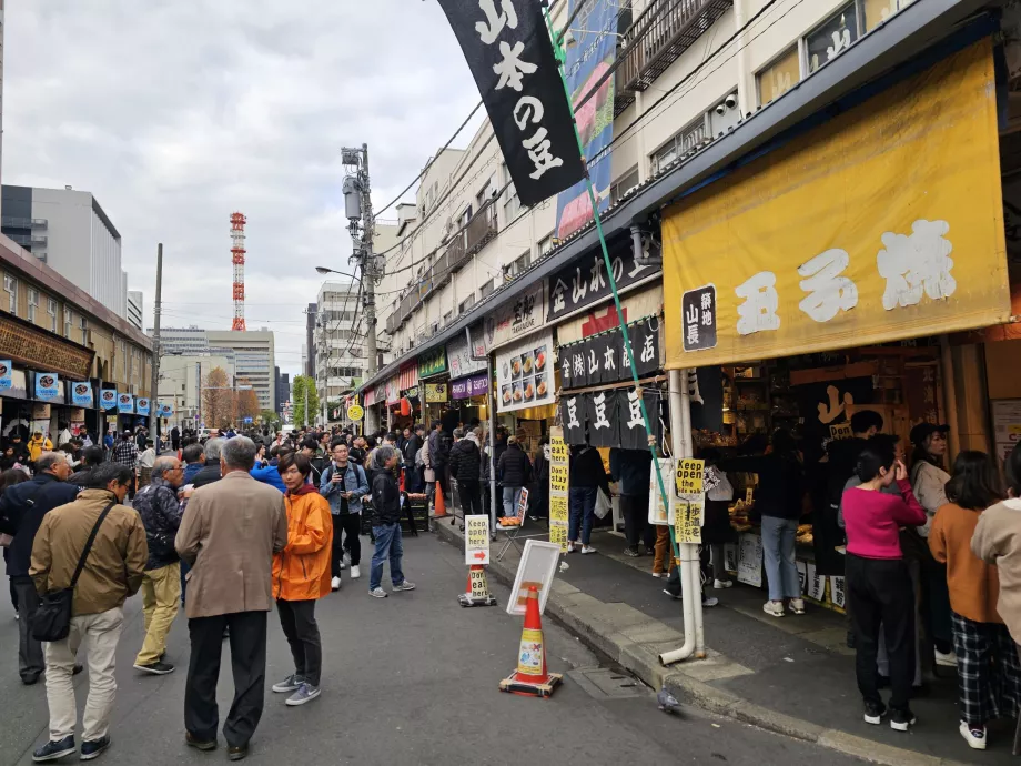 Tsukiji Fish Market
