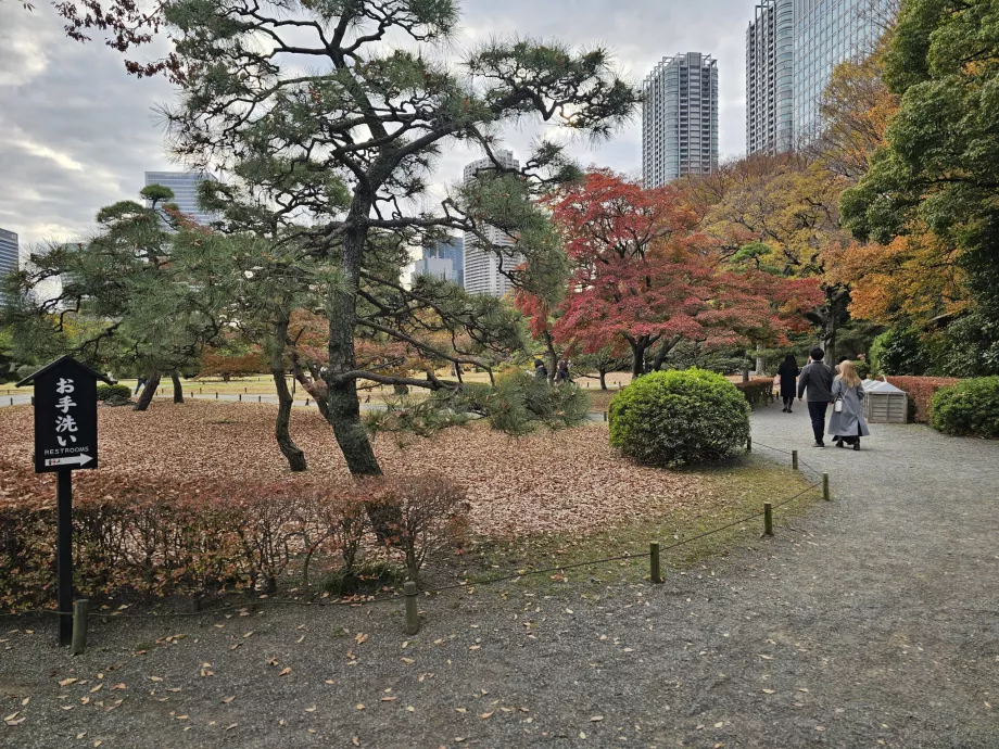 Hama-rikyu Gardens