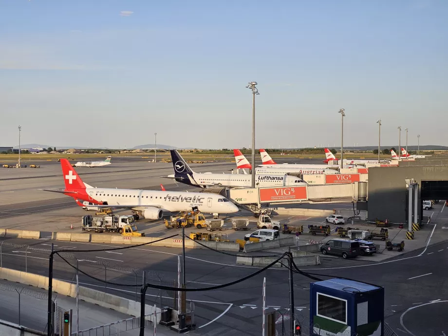 View of the airfield