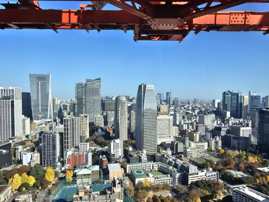 View from the top floor